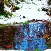 IMG_20200211_122632_694水溜まり
