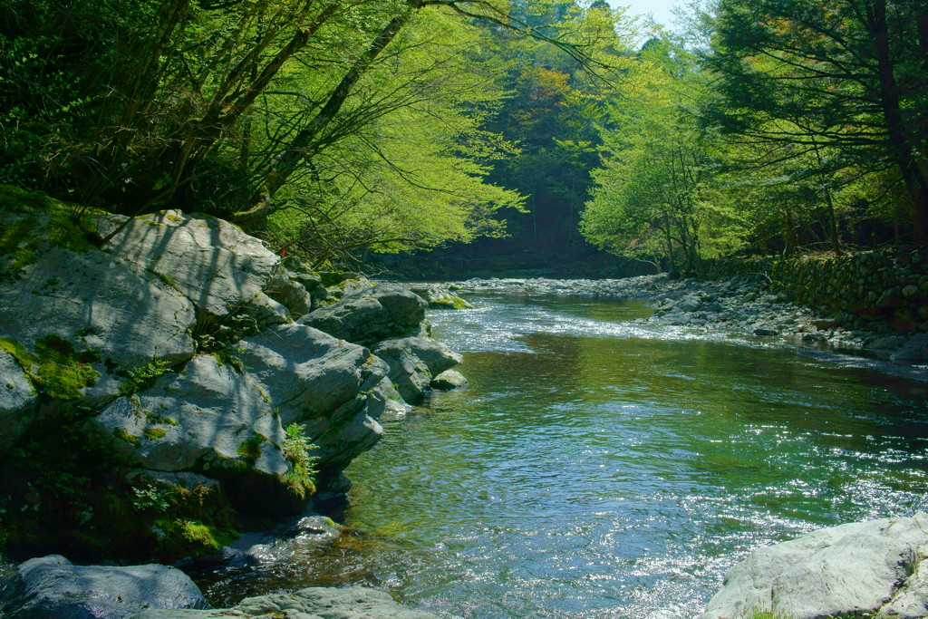 奥祖谷二重かずら橋4