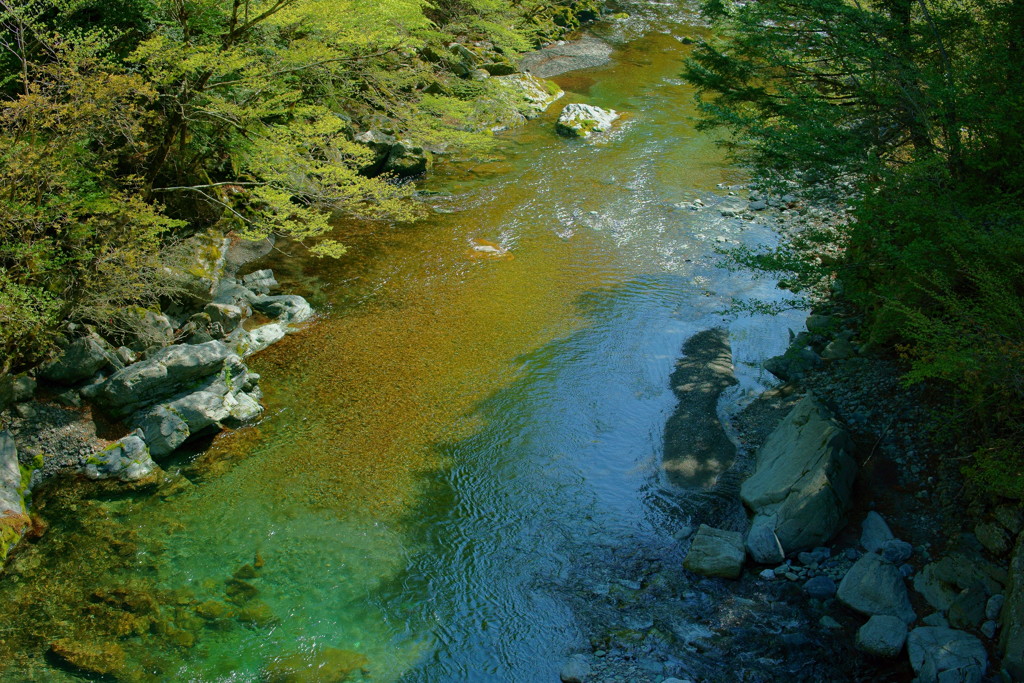 奥祖谷二重かずら橋6