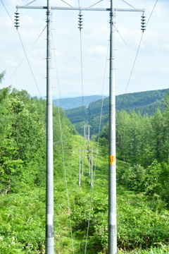 電柱