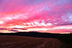 田舎の夕焼け