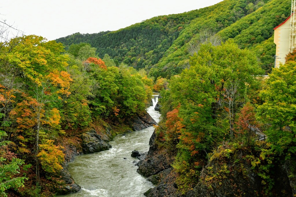紅葉が始まりました。