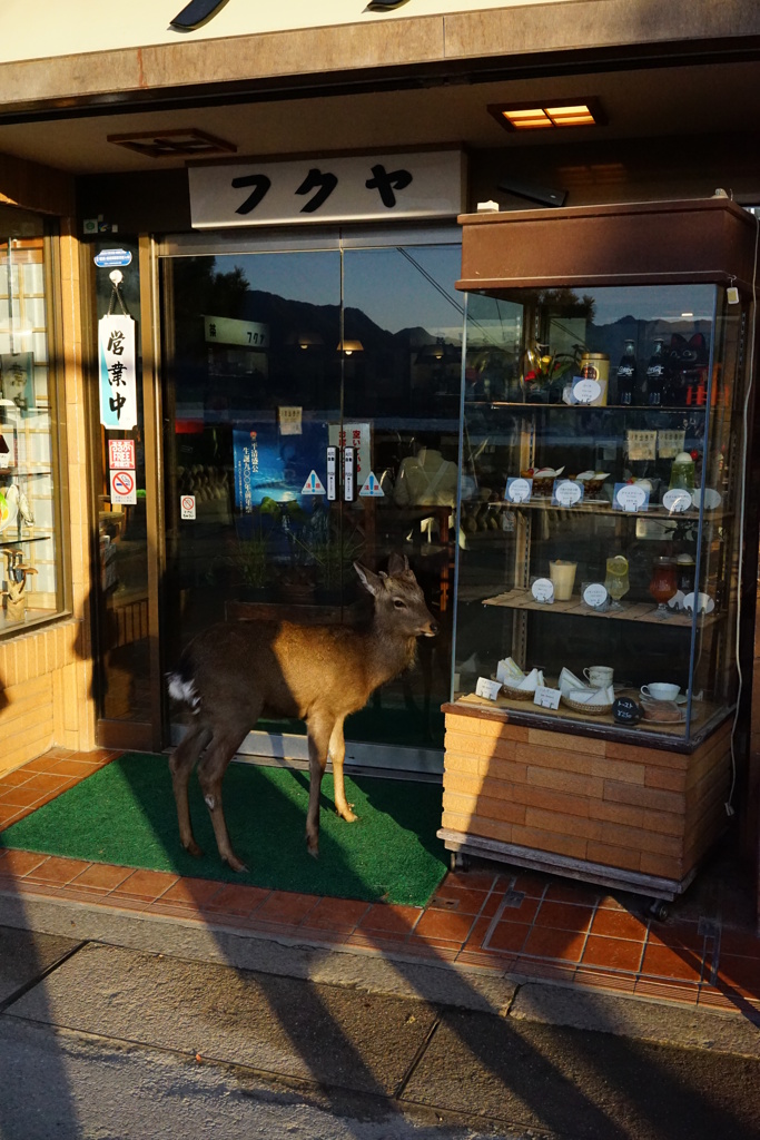 入店出来ない