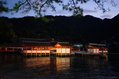 ライトアップ厳島神社