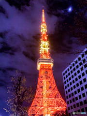 あけおめ！TOKYO tower