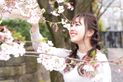 さくら