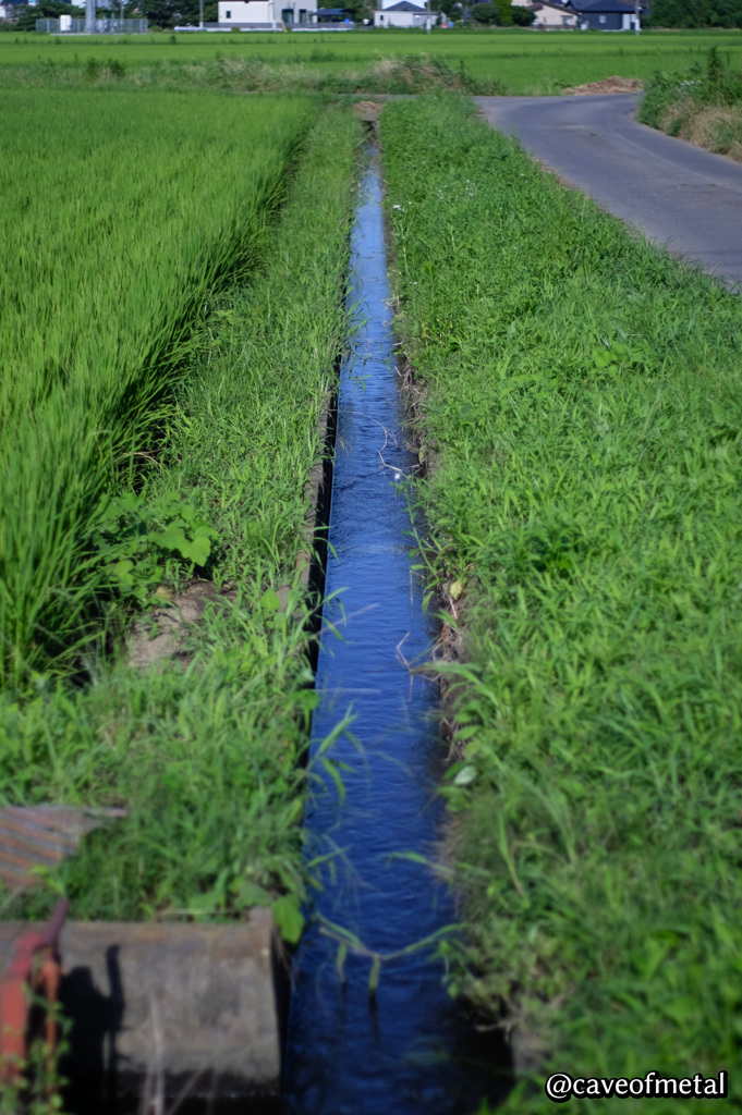 お水、足りてますか？