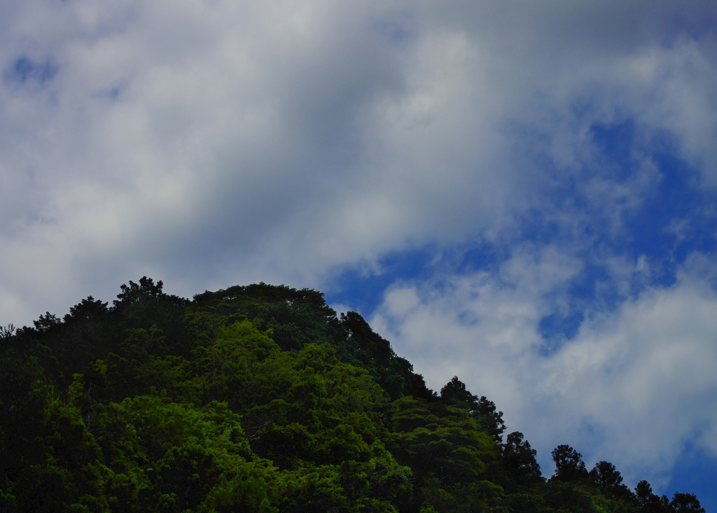 6月の夏空