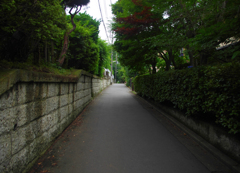 ゆるやかな坂道