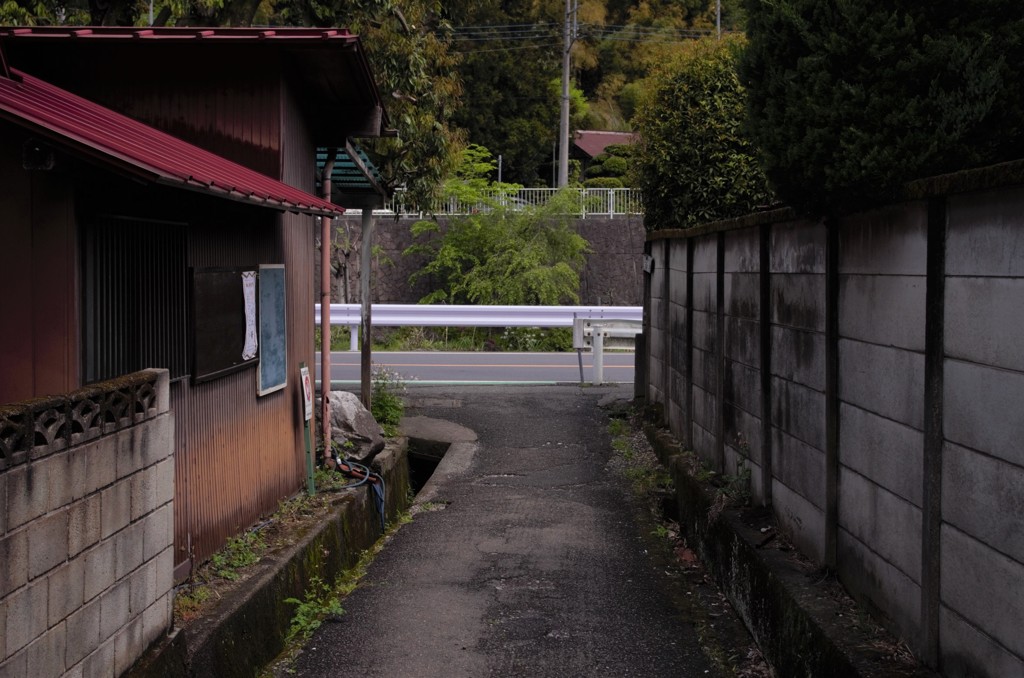 のんびりと