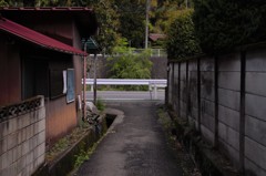 のんびりと