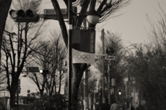tokyo 2020