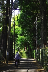 散歩道