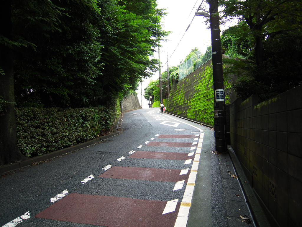 雨上がる