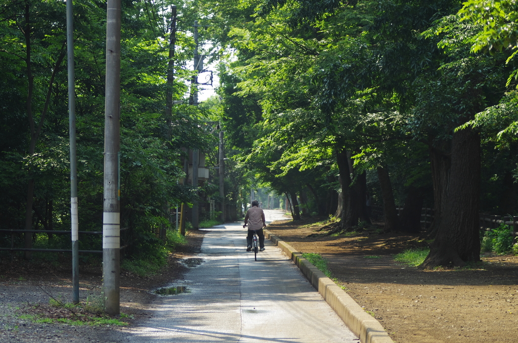雨上がり