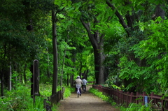 散歩道