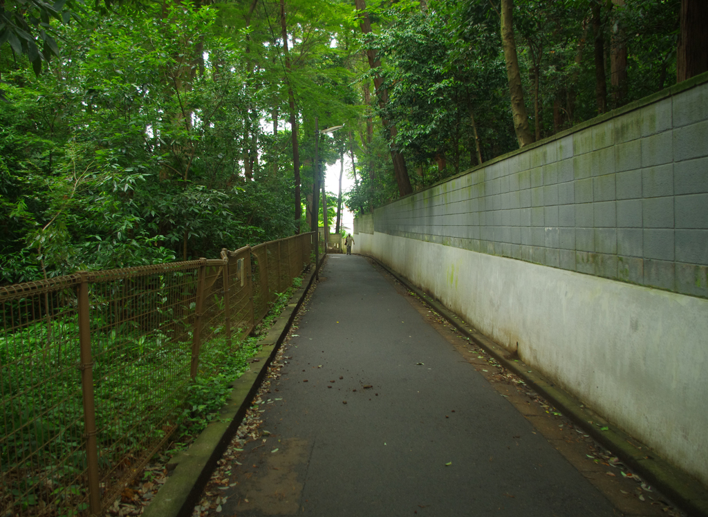 坂道