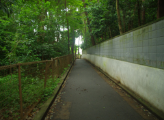 坂道