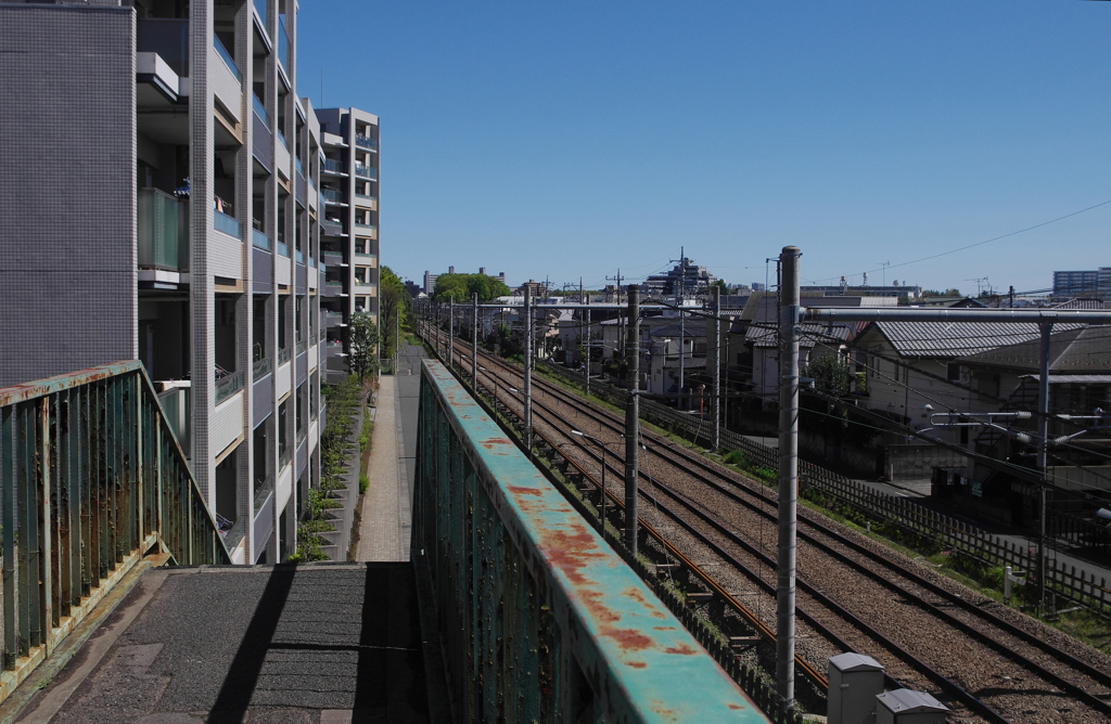 歩道橋から