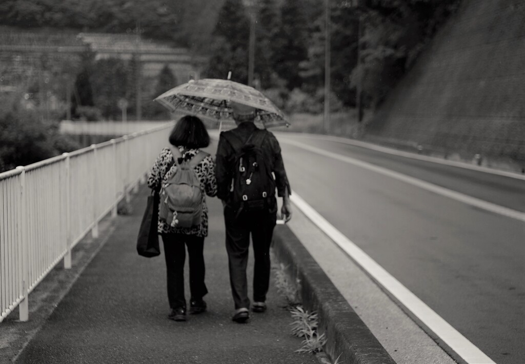 小雨の降る道