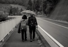 小雨の降る道