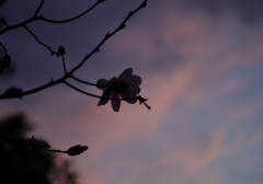 夕暮れどき