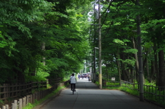 雨上がり