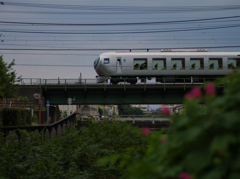 電車