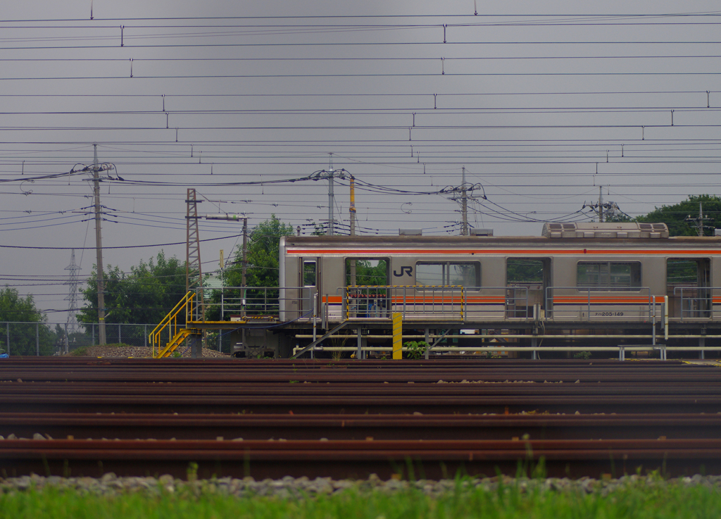 電車 (金あみ越し)