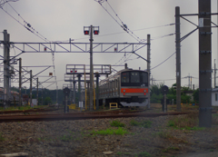 電車 (金あみ越し)