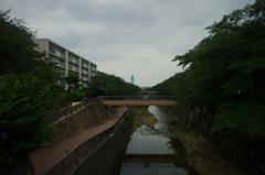 川と団地