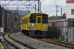 黄色い電車