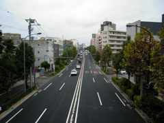 歩道橋から