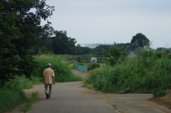 散歩道