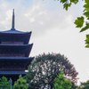 東寺