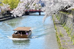 桜と川と船と橋