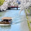 桜と川と船と橋