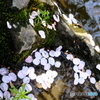 一休み