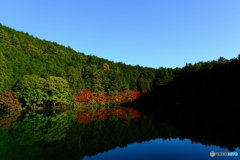 DSCF4527