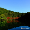 DSCF4527