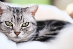 眠い