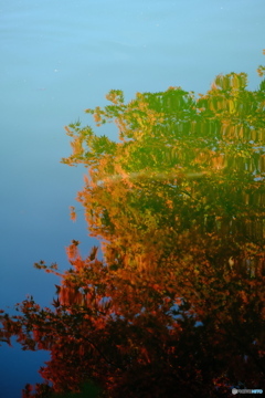 DSCF4582