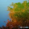 DSCF4582