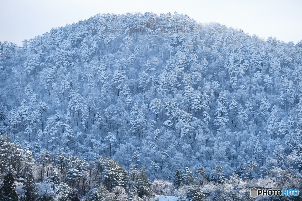 雪化粧１