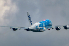 ANA A380