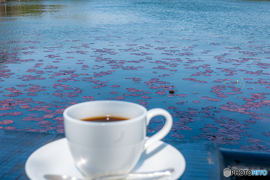 池の畔でコーヒータイム