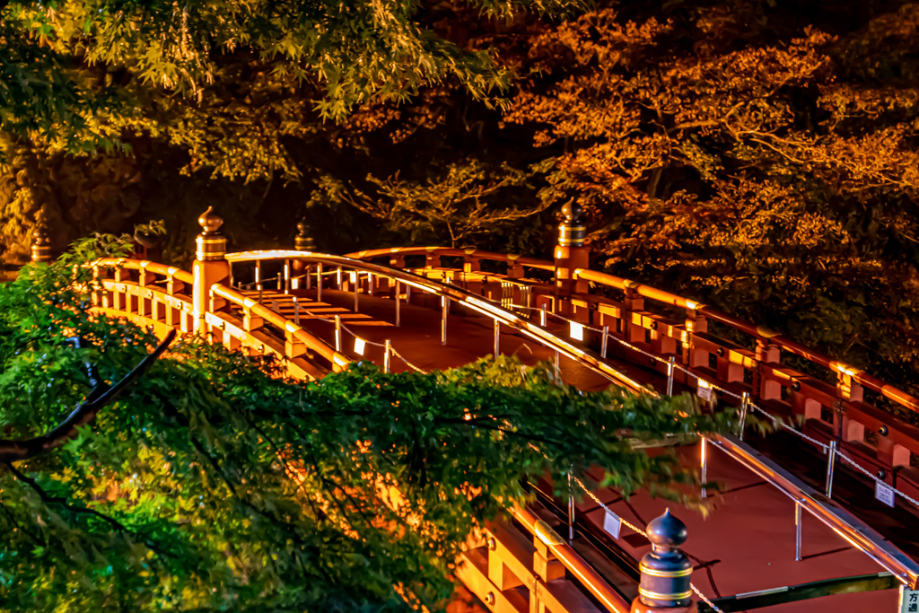 夜の日光　神橋ライトアップ夜景④