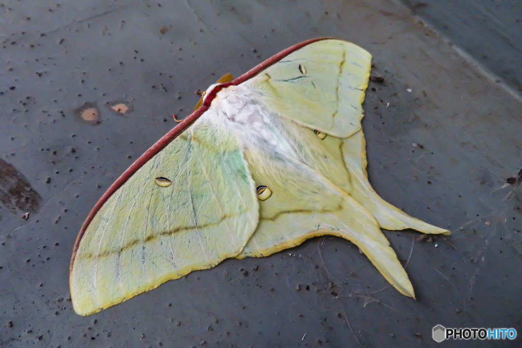 今年も逢えたね！