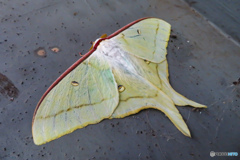 今年も逢えたね!