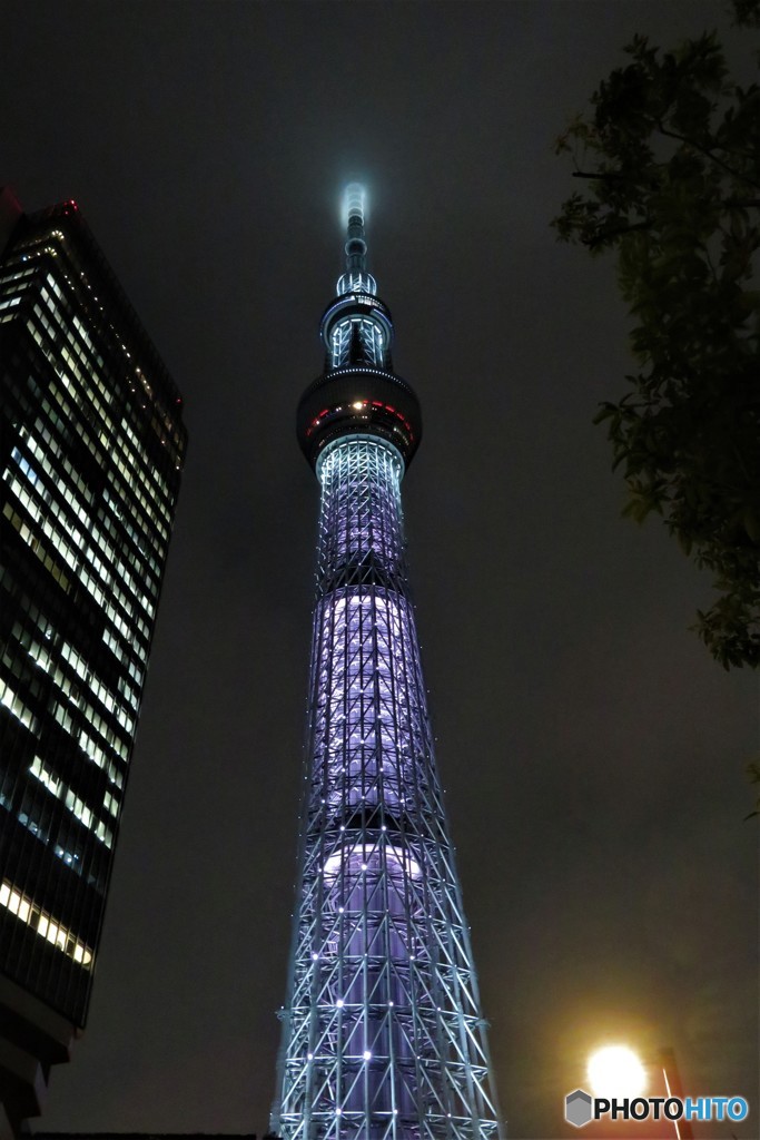 スカイツリー2